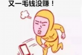 澧县澧县的要账公司在催收过程中的策略和技巧有哪些？